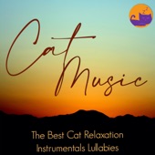 Cat Music: The Best Cat Relaxation Instrumentals Lullabies artwork