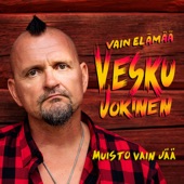 Muisto vain jää (Vain elämää kausi 11) artwork