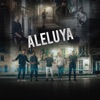 Aleluya - Single (feat. Kike Pavón) - Single