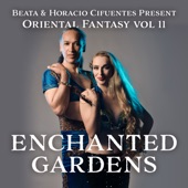 Enchanted Gardens (Special Remix) artwork