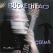 Buckethead - Wishing Well