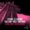 Long Way from Home - Fedde Le Grand, Ned Shepard & Sultan lyrics