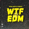 What the F@# Is EDM - Single