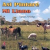 Así Pintaré Mi Llano