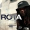 Rota (feat. NoSmoke) - Leo Pkp lyrics