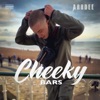 Cheeky Bars by ArrDee iTunes Track 2