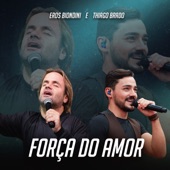 Força do Amor artwork