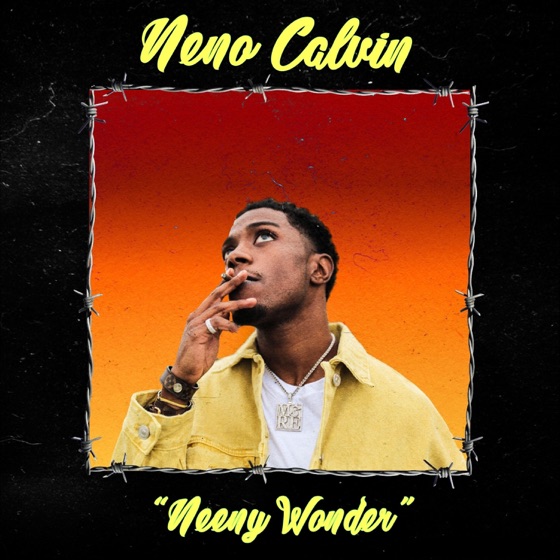 Cover artwork for Never Knew