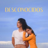 Desconocidos artwork