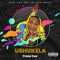 Amaviki - Frans Ceo lyrics