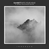 Into Your Head (djimboh Extended Mix) artwork