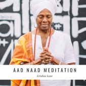 Aad Naad Meditation artwork