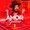 Amor Gostoso - Single