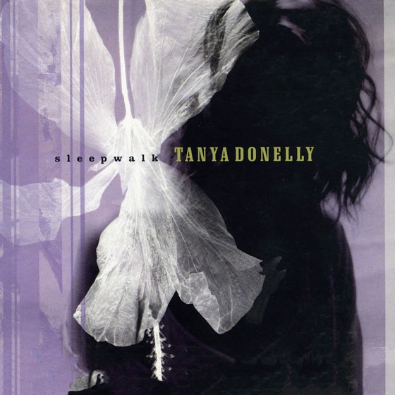 Cover artwork for The Storm