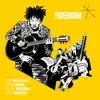 Freedom (feat. Vincent Ségal, Ballaké Sissoko & Roger Raspail) - Single album lyrics, reviews, download