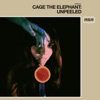 Cigarette Daydreams by Cage The Elephant iTunes Track 2