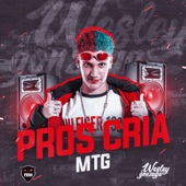 MTG (feat. PROS CRIA, MC THAY, MC MAGRINHO, MC FAHAH & MC VH DINIZ) artwork