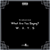 What Are You Saying? artwork