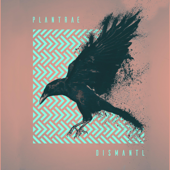 Dismantl - EP - Plantrae