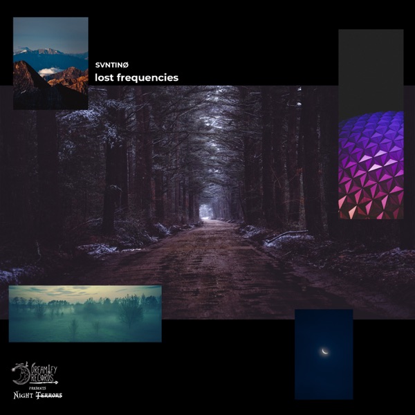 Lost Frequencies - Single - SVNTINØ