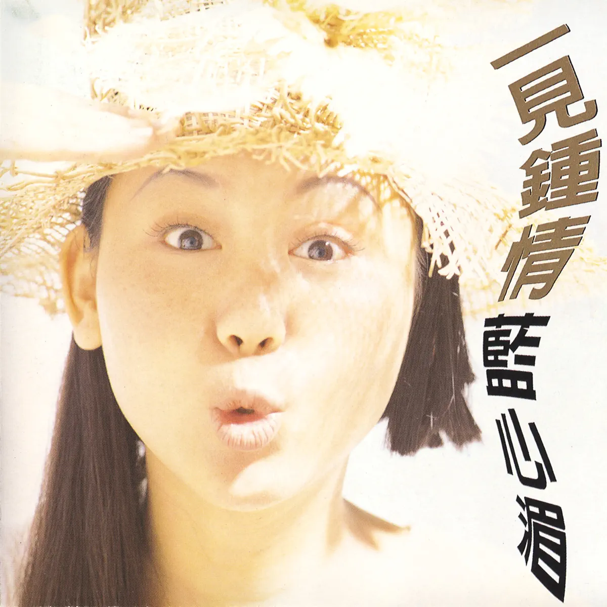 藍心湄 - 一見鍾情 (1993) [iTunes Plus AAC M4A]-新房子