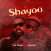 Shayoo (feat. Magnito) - Single album lyrics, reviews, download