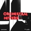 Orchestral Hitters (Edited Version) artwork