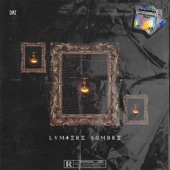 Lumière sombre artwork