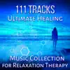 111 Tracks: Ultimate Healing Music Collection for Relaxation Therapy - Blissful Massage, Meditation to Calm Down, Yoga Exercises, Spa Treatment, Zen Nature Sounds album lyrics, reviews, download