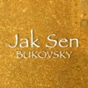 Jak Sen - Single