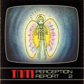 Perception Report 2 - Single