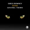 Sense (Sentinel 7 Remix) - Single album lyrics, reviews, download