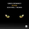 Stream & download Sense (Sentinel 7 Remix) - Single