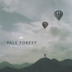 Second Hand Balloons - Pale Forest