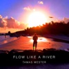 Flow Like a River - Single