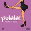 Pulele! (feat. Medikal) - Single