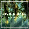 Living Oaks