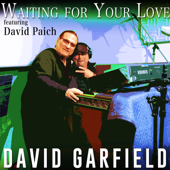 Waiting for Your Love (feat. David Paich, Ray Parker Jr. & Amy Keys) [Radio Version] - David Garfield