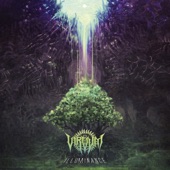 Virvum - II: A Final Warming Shine: Ascension and Trespassing