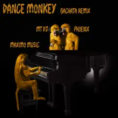Dance Monkey (with Phoenix) [Maximo Music bachata remix] Song Lyrics