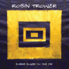 Robin Trower - Coming Closer to the Day  artwork