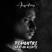 Demontre Sa Ki Ou Merite artwork