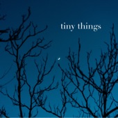 Tiny Things artwork