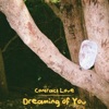 Dreaming of You - Single