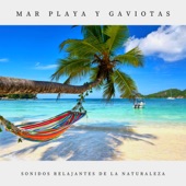 Mar Playa Y Gaviotas, Pt. 02 artwork