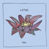 Lotus - Single