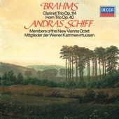 Brahms: Clarinet Trio & Horn Trio artwork
