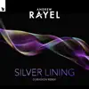 Silver Lining (Dubvision Remix) - Single album lyrics, reviews, download