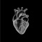 Heart Mind Body Soul - Johnny Black lyrics