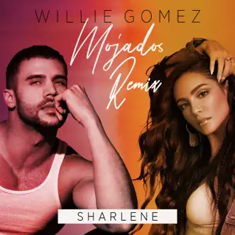 Mojados (Remix) by Willie Gomez & Sharlene song reviws